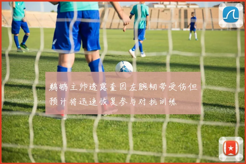 鹈鹕主帅透露奎因左腕韧带受伤但预计将迅速恢复参与对抗训练