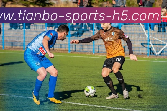 天博体育APP 封面图